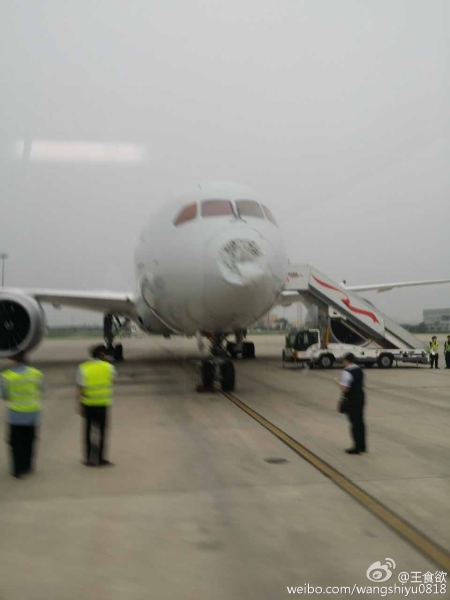787ڱϮ